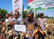 Panen Raya Jagung Serentak Kuartal II di Desa Balang Baru, Ini Pesan Bupati Jeneponto