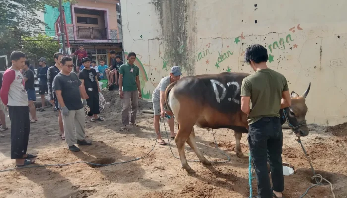 Kurban LDII Sulsel Capai 831 Ekor, Bentuk Kesalehan Sosial di Iduladha 1446 H