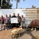 Sebagai bagian dari komitmen berkelanjutan dalam memberi dampak positif bagi masyarakat, Kawan Lama Group kembali melaksanakan program penyaluran hewan kurban dalam rangka perayaan Iduladha 1446 H.