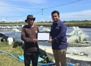 PLN Luncurkan Fitur REC di Aplikasi PLN Mobile, Dukung Akses Listrik Hijau di Sulsel