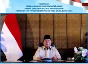 PLN dan Pemerintah Resmikan 47 PLTS, Dorong Pemerataan Energi Bersih hingga Pelosok Negeri