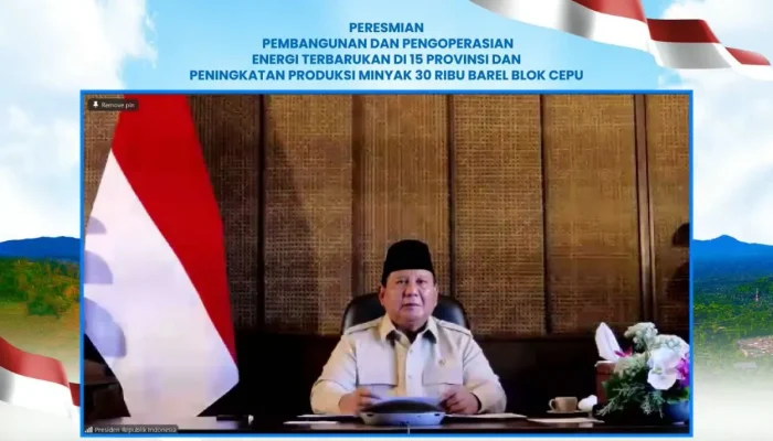 PLN dan Pemerintah Resmikan 47 PLTS, Dorong Pemerataan Energi Bersih hingga Pelosok Negeri