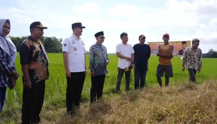 Wakil Ketua DPD RI dan Bupati Pangkep Tinjau Musim Tanam Kedua di Labakkang