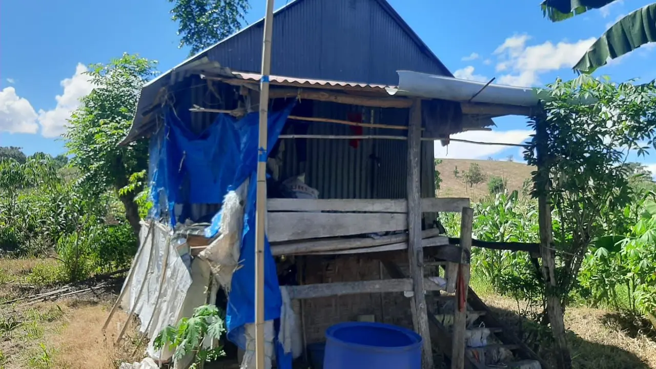 Kasihan, Lansia di Jeneponto Tinggal di Gubuk Kecil, Juga Tak Pernah Tersentuh Bantuan Pemerintah
