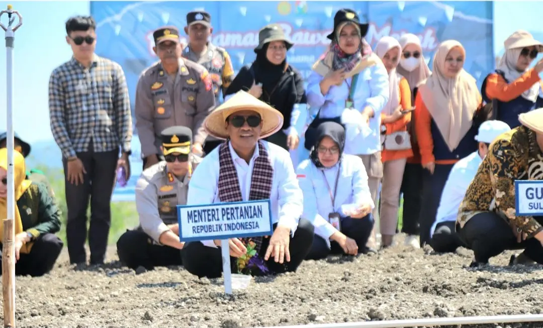 Majene Siap Jadi Sentra Baru Bawang Merah di Kawasan Timur Indonesia