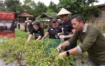 Saat Bank Turun ke Kebun Demi Ketahanan Pangan 4 Saat Bank Turun ke Kebun Demi Ketahanan Pangan