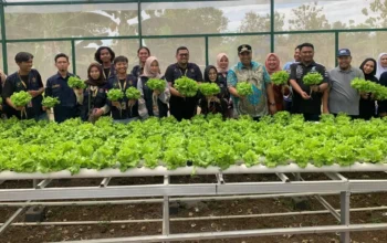 Bupati Maros Apresiasi Inovasi Pertanian Mahasiswa Unhas di Desa Nisombalia