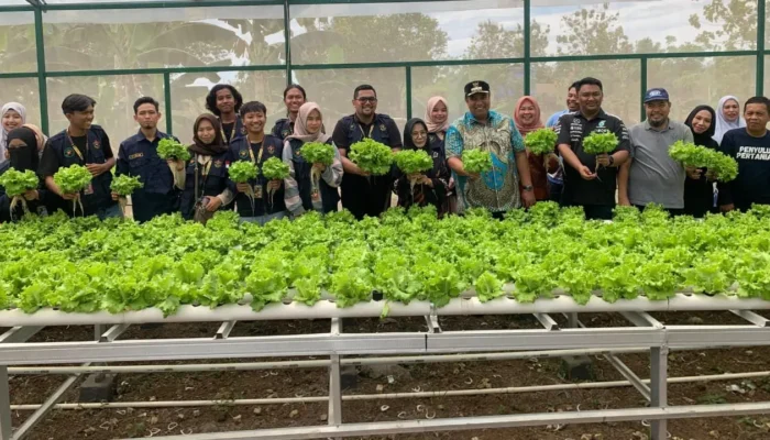 Bupati Maros Apresiasi Inovasi Pertanian Mahasiswa Unhas di Desa Nisombalia