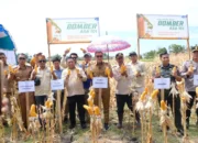 Bupati Paris Yasir Lakukan Panen Raya Dirangkaikan Pengukuhan KTNA di Desa Palajau Jeneponto