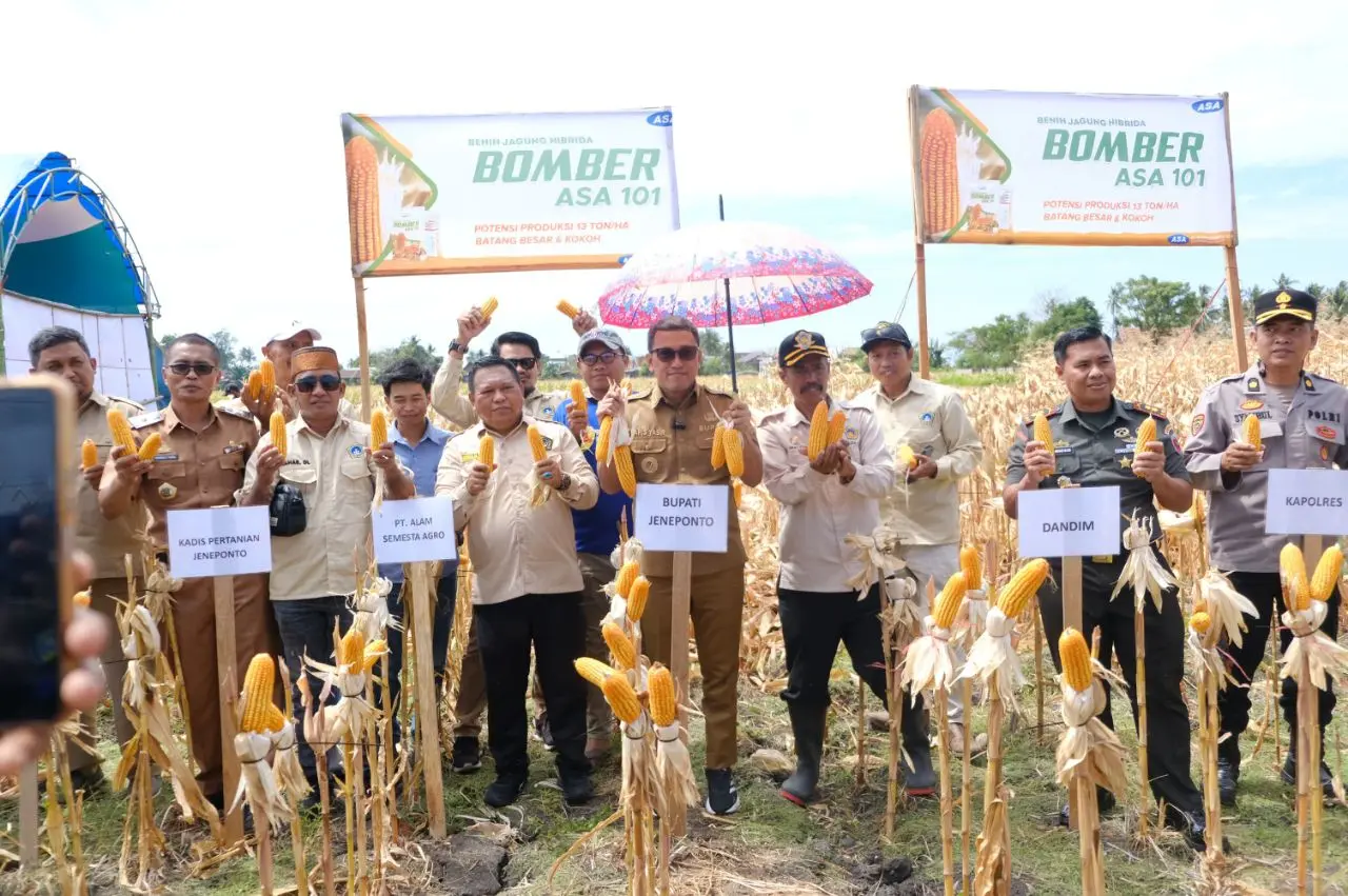 Bupati Paris Yasir Lakukan Panen Raya Dirangkaikan Pengukuhan KTNA di Desa Palajau Jeneponto