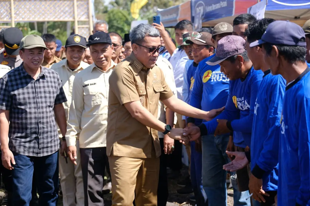 Bupati Paris Yasir Lakukan Panen Raya Dirangkaikan Pengukuhan KTNA di Desa Palajau Jeneponto