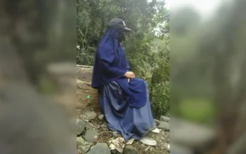 Ulfiah (penulis lepas)