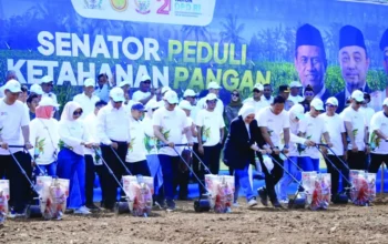 Tamsil Linrung Canangkan Program Senator Peduli Ketahanan Pangan di Pangkep 10 Tamsil Linrung Canangkan Program Senator Peduli Ketahanan Pangan di Pangkep