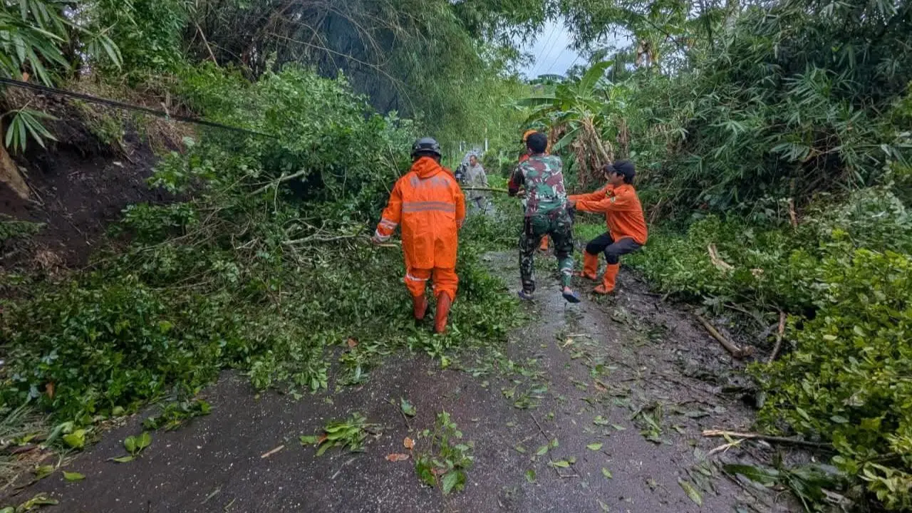 BNPB Laporkan Sejumlah Bencana Akhir Oktober, Banjir dan Cuaca Ekstrem Melanda Berbagai Daerah