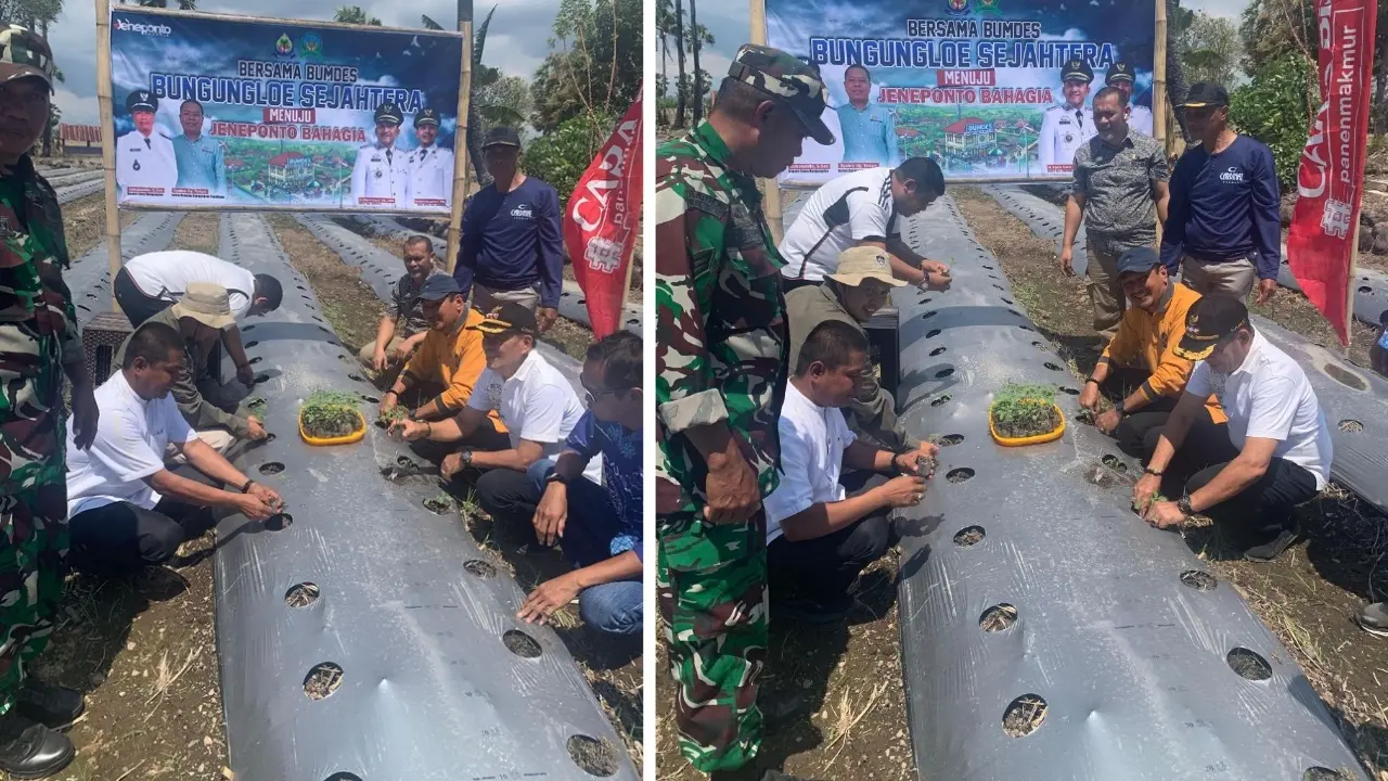 BUMDES Sejahtera Bungungloe Jeneponto Lakukan Penanaman Perdana Hortikultura