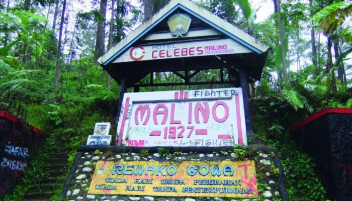 Puncak Embun Malino: Di Antara Dingin, Kopi, dan Cerita Lama