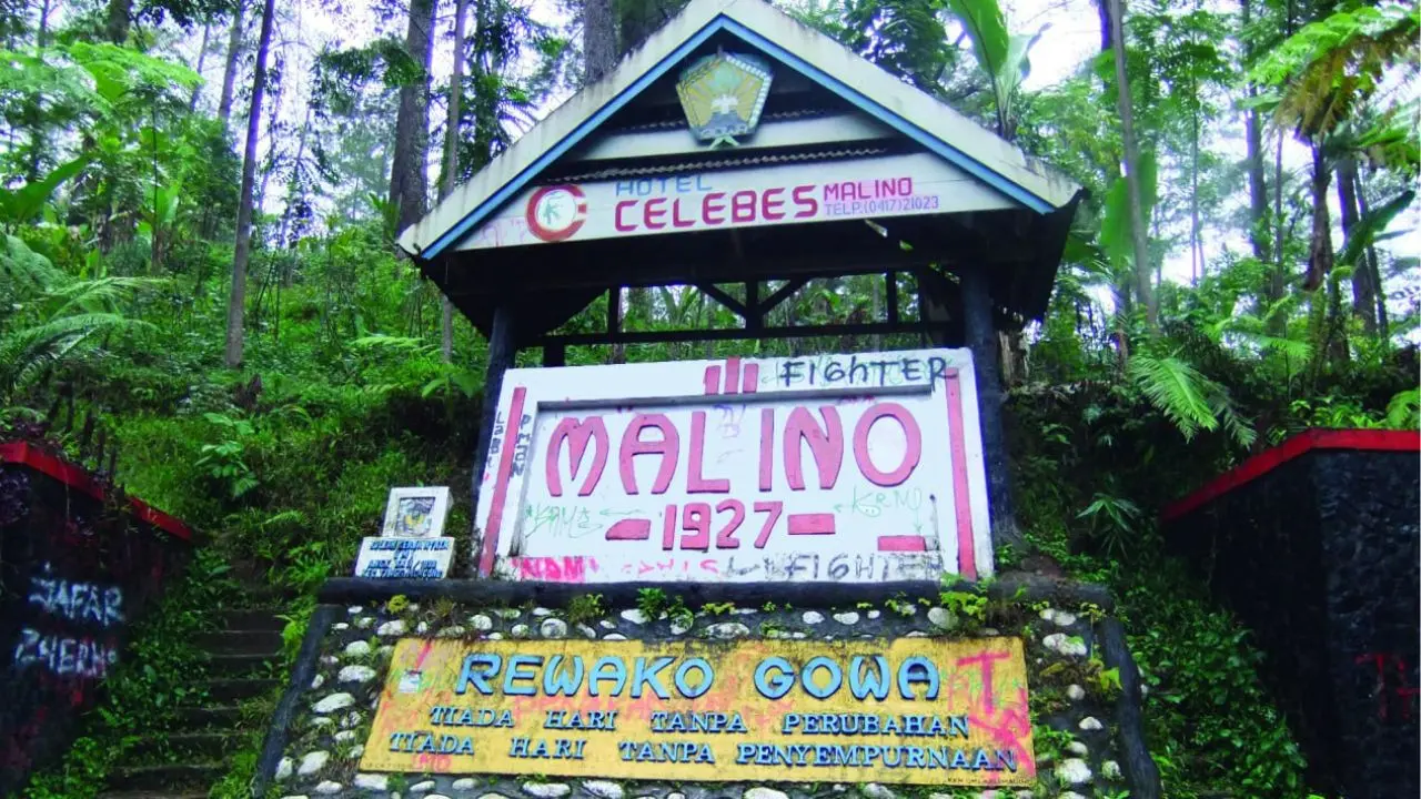 Puncak Embun Malino: Di Antara Dingin, Kopi, dan Cerita Lama