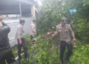 Cuaca Ekstrem Terjang Manggala, Tiga Titik Dilaporkan Terdampak