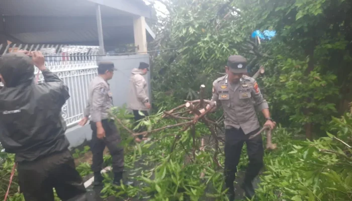 Cuaca Ekstrem Terjang Manggala, Tiga Titik Dilaporkan Terdampak