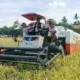Panen Perdana IP300 di Sidrap Capai 7,5 Ton/Hektare, Bupati Syaharuddin: Bukti Kerja Keras Petani