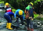 Tujuh Tiang Listrik Roboh di Tanjung Bunga, PLN Gerak Cepat Amankan Jaringan