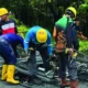 Tujuh Tiang Listrik Roboh di Tanjung Bunga, PLN Gerak Cepat Amankan Jaringan