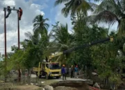 PLN UID Sulselrabar Perkuat Pemulihan Listrik di Aceh Utara, 34 Titik Jaringan Berhasil Diperbaiki Tim Khusus