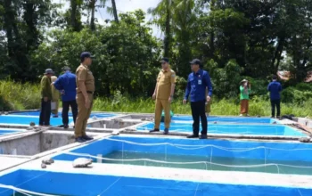 Bupati MYL Dorong Modernisasi Tambak di Pangkep untuk Tingkatkan Produksi dan Kesejahteraan Pesisir