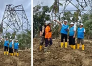 PLN Percepat Pemulihan Listrik Aceh, Dirut Turun Langsung Kawal Perbaikan SUTT Langsa–Pangkalan Brandan