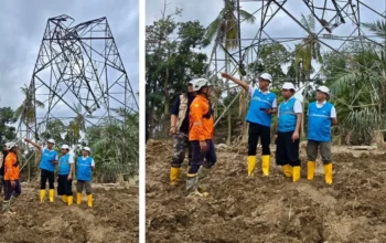 PLN Percepat Pemulihan Listrik Aceh, Dirut Turun Langsung Kawal Perbaikan SUTT Langsa–Pangkalan Brandan