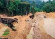 Membangun Kebijakan Lingkungan yang Berpihak pada Keberlanjutan