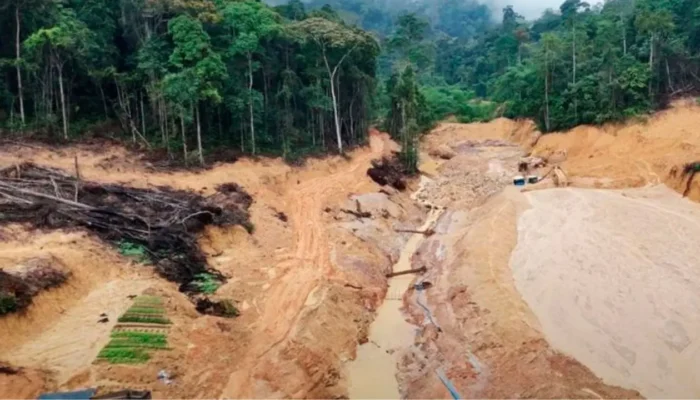 Membangun Kebijakan Lingkungan yang Berpihak pada Keberlanjutan