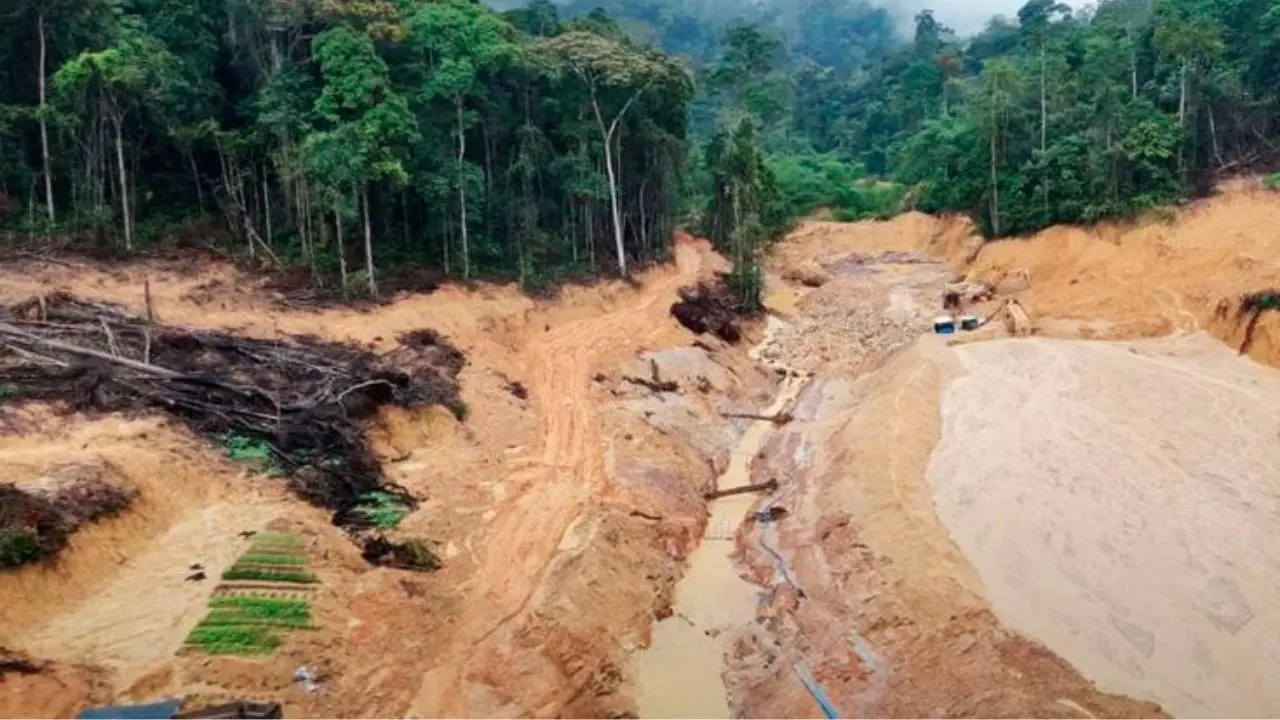 Membangun Kebijakan Lingkungan yang Berpihak pada Keberlanjutan