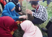 Tekan Krisis Sampah, Pemkot Makassar Dorong Pengolahan Maggot Berbasis Rumah Tangga