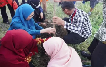 Tekan Krisis Sampah, Pemkot Makassar Dorong Pengolahan Maggot Berbasis Rumah Tangga