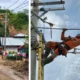 Sistem Kelistrikan Aceh Pulih Total, 20 Gardu Induk Kembali Beroperasi Normal