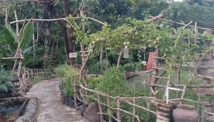 Desa Wisata Ladoma, Destinasi Wisata Keluarga Favorit di Parepare yang Mudah Dijangkau