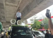 HMPLT Pertanyakan Progres Aduan Sewa Lahan Pemkab Luwu Timur–PT IHIP di Kejati Sulsel