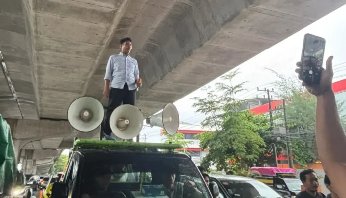 HMPLT Pertanyakan Progres Aduan Sewa Lahan Pemkab Luwu Timur–PT IHIP di Kejati Sulsel