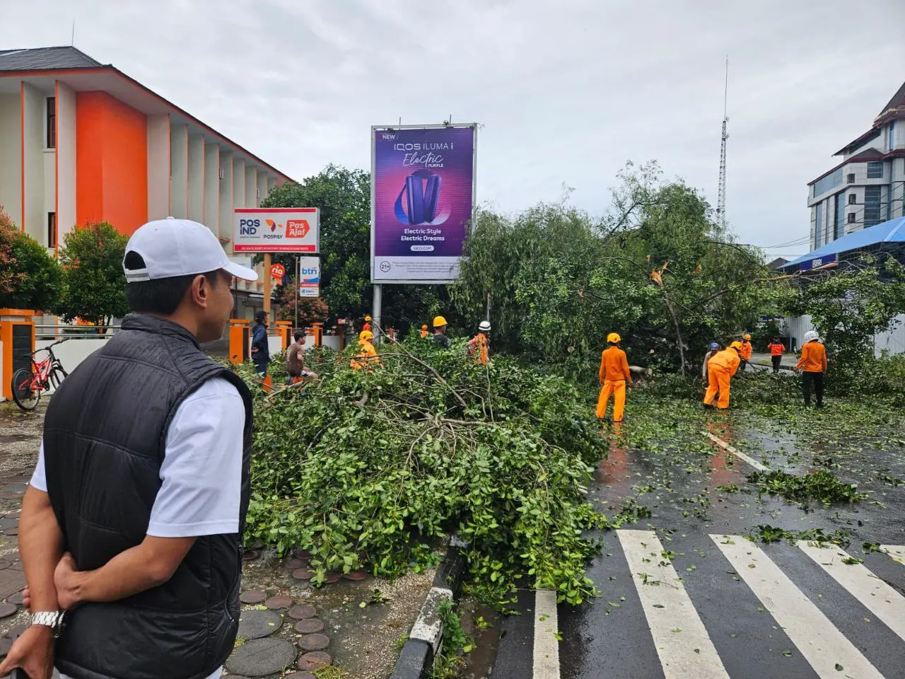 Camat Ujung Pandang Tinjau Pohon Tumbang di Jalan Slamet Riyadi Makassar, Pastikan Akses Warga Aman
