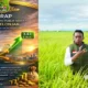 IPP Sidrap 2025 Melonjak ke Kategori Baik, Tertinggi Lima Tahun Terakhir