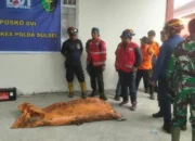 Satu Jenazah Ditemukan di Bawah Tebing Bulusaraung, Evakuasi Pesawat ATR Masuki Fase Krusial