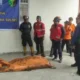 Jenazah Korban Ditemukan di Bawah Tebing Bulusaraung, Tim SAR Hadapi Medan Ekstrem