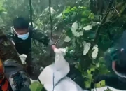 Total Delapan Korban ATR 42-500 Ditemukan di Gunung Bulusaraung