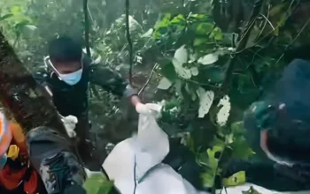 Total Delapan Korban ATR 42-500 Ditemukan di Gunung Bulusaraung