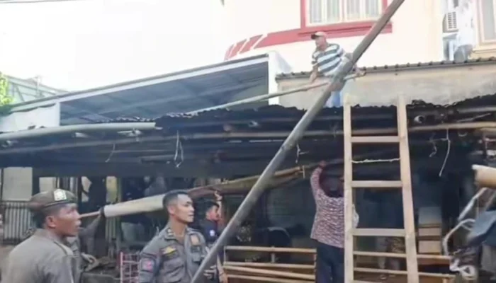 Pemkot Makassar Tertibkan Lapak Penjual Kambing di Jalan Lamuru, 7 Bangunan Dibongkar