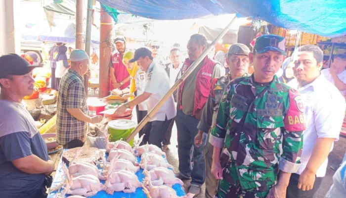Penataan Pasar Berlanjut, PKL di Atas Drainase Pasar Cendrawasih Ditertibkan