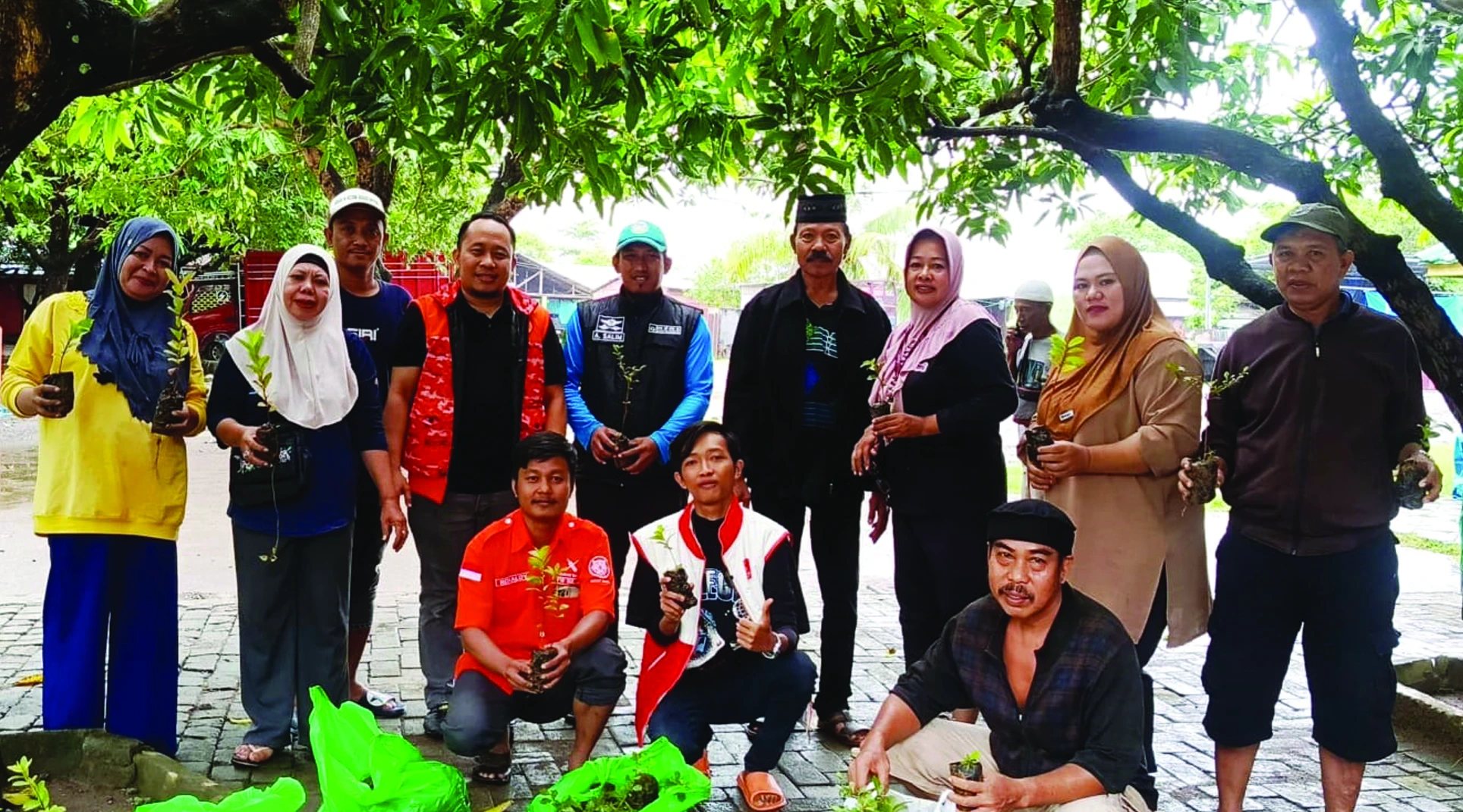 bagi pohon