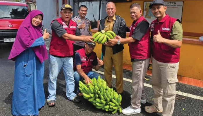 Panen Pisang Cavendish di Bitowa, Bukti Nyata Urban Farming Perkuat Ketahanan Pangan Makassar