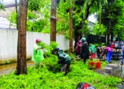 Pohon Tumbang di Jalan Haji Bau Makassar Ditangani Cepat, Lalu Lintas Kembali Normal